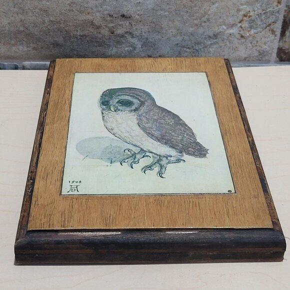 Vintage Framed Print The Little Owl Albrecht Durer - Picture 5 of 10
